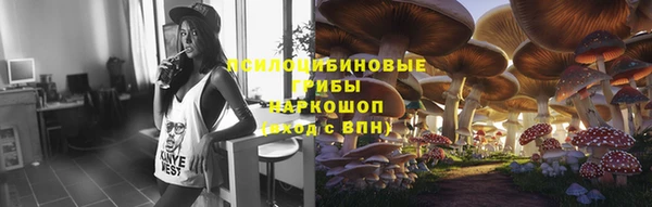гидропоника Бугульма