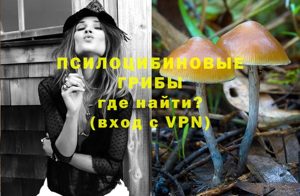 круглые Бронницы