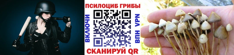 Псилоцибиновые грибы мухоморы  купить  цена  Высоцк 